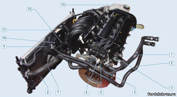 Детали системы охлаждения Форд Фокус 2